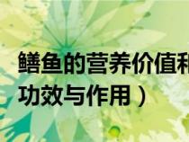 鱔魚的營養(yǎng)價值和功效（小黃魚的營養(yǎng)價值及功效與作用）