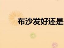 布沙發(fā)好還是真皮沙發(fā)好（布沙發(fā)）