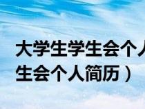 大學生學生會個人簡歷填表100字（大學生學生會個人簡歷）