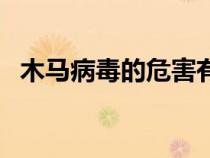 木馬病毒的危害有什么（木馬病毒的危害）