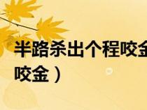 半路殺出個程咬金是什么意思（半路殺出個程咬金）