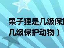 果子貍是幾級(jí)保護(hù)動(dòng)物2023年的(果子貍是幾級(jí)保護(hù)動(dòng)物) 果子貍是幾級(jí)保護(hù)動(dòng)物2023年的(果子貍是幾級(jí)保護(hù)動(dòng)物)