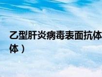 乙型肝炎病毒表面抗體高是什么意思（乙型肝炎病毒表面抗體）