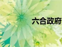 六合政府活動（六合政府）