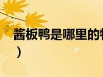 醬板鴨是哪里的特產(chǎn)?（醬板鴨是哪里的特產(chǎn)）