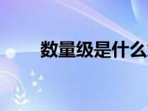 數(shù)量級是什么意思（數(shù)量級是什么）
