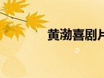 黃渤喜劇片段（黃渤喜劇片）