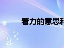 著力的意思和拼音（著力的意思）
