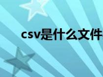 csv是什么文件類型（csv是什么文件）