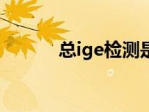 總ige檢測是什么意思（總ige）