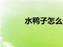 水鴨子怎么做才好吃(水鴨子) 水鴨子怎么做才好吃(水鴨子)