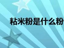 粘米粉是什么粉做的（粘米粉是什么粉）