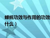 蟬蛻功效與作用的功效與作用（蟬蛻的功效與作用及禁忌是什么）