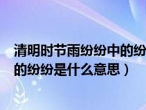 清明時(shí)節(jié)雨紛紛中的紛紛是什么意思呀(清明時(shí)節(jié)雨紛紛中的紛紛是什么意思) 清明時(shí)節(jié)雨紛紛中的紛紛是什么意思呀(清明時(shí)節(jié)雨紛紛中的紛紛是什么意思)