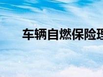 車輛自燃保險理賠（汽車自燃保險賠）