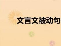 文言文被動(dòng)句例句（文言文被動(dòng)句）