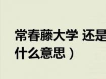 常春藤大學(xué) 還是常青藤大學(xué)（常春藤大學(xué)是什么意思）