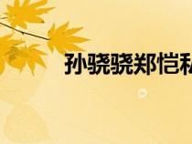 孫驍驍鄭愷私人照（孫驍驍鄭愷）