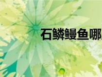 石鱗鰻魚哪里釣率最高（石鱗）