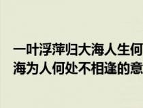 一葉浮萍歸大海人生何處不相逢是什么生肖（一葉浮萍歸大海為人何處不相逢的意思）