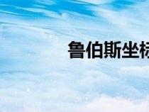 魯伯斯坐標(biāo)點(diǎn)（魯伯斯坐標(biāo)）