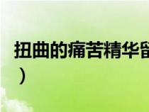 扭曲的痛苦精華留著有用嗎（扭曲的痛苦精華）