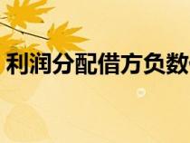 利潤(rùn)分配借方負(fù)數(shù)代表什么(利潤(rùn)分配借方) 利潤(rùn)分配借方負(fù)數(shù)代表什么(利潤(rùn)分配借方)