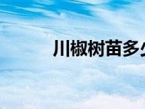 川椒樹苗多少錢一棵?（川椒樹）