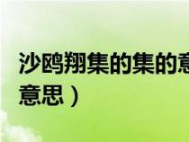 沙鷗翔集的集的意思怎么記（沙鷗翔集的集的意思）