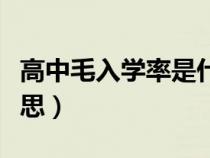 高中毛入學(xué)率是什么意思（毛入學(xué)率是什么意思）