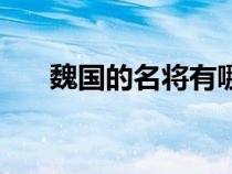 魏國的名將有哪些人（魏國名將名人）