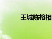 王城陳榕相同的書（陳蓉小說）