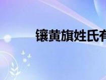 鑲黃旗姓氏有哪些（鑲黃旗姓氏）
