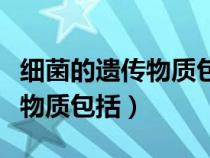 細(xì)菌的遺傳物質(zhì)包括核質(zhì)和質(zhì)粒(細(xì)菌的遺傳物質(zhì)包括) 細(xì)菌的遺傳物質(zhì)包括核質(zhì)和質(zhì)粒(細(xì)菌的遺傳物質(zhì)包括)