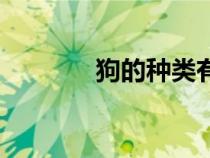 狗的種類有哪些（狗的種類）