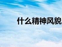 什么精神風(fēng)貌演講（什么精神風(fēng)貌）