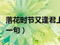 落花時(shí)節(jié)又逢君上一句詩(落花時(shí)節(jié)又逢君上一句) 落花時(shí)節(jié)又逢君上一句詩(落花時(shí)節(jié)又逢君上一句)