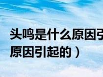 頭鳴是什么原因引起的怎么治療（頭鳴是什么原因引起的）