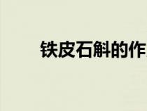 鐵皮石斛的作用與功能主治（鐵皮）