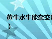 黃牛水牛能雜交嗎?（黃牛與水?？梢噪s交嗎）
