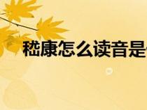 嵇康怎么讀音是什么意思（嵇康怎么讀）