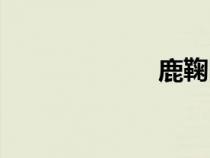 鹿鞠圖片（鹿鞠）