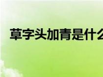 草字頭加青是什么字怎么讀（草字頭加青）
