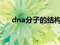 dna分子的結(jié)構(gòu)式（DNA分子的結(jié)構(gòu)）