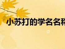 小蘇打的學名名稱是（小蘇打學名是什么）