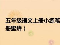 五年級語文上冊小練筆竹子梅花蜜蜂路燈（小練筆五年級上冊蜜蜂）