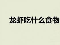 龍蝦吃什么食物長(zhǎng)大最快（龍蝦吃什么）