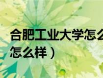 合肥工業(yè)大學(xué)怎么樣好就業(yè)嗎（合肥工業(yè)大學(xué)怎么樣）