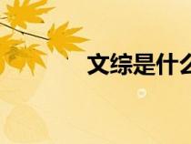 文綜是什么課（文綜是什么）