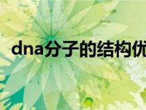 dna分子的結(jié)構(gòu)優(yōu)質(zhì)課(DNA分子的結(jié)構(gòu)) dna分子的結(jié)構(gòu)優(yōu)質(zhì)課(DNA分子的結(jié)構(gòu))